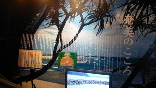 奄美観光の出発点