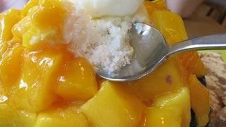 ぜったいぜったい行ってほしい