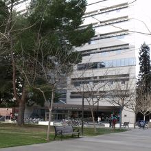 学内から見たところ