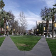 正門から入ると校舎がたくさん！図書館は左