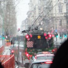 トロリーバスもいました。観光ガイドには載ってないです。