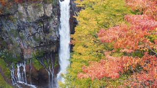 やっぱり迫力あります。