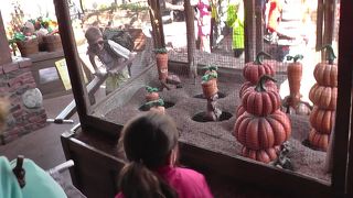 日本よりも待ち時間短い☆