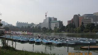 東京の下町オアシス