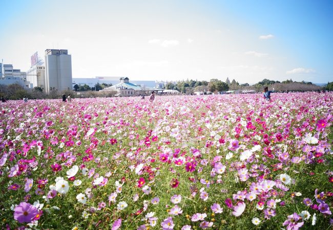 キリンビール福岡工場 クチコミ アクセス 営業時間 朝倉 甘木 小郡 フォートラベル