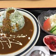 富士山水菜カレーはB級グルメになり得るか？