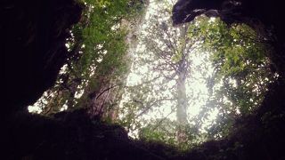 屋久島に来たらココ