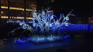 イルミネーション