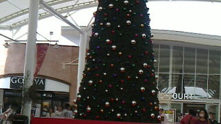 クリスマスツリーがお出迎え！