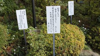 境内が万葉植物園