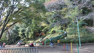 傾斜を利用した遊具が色々、子ども天国