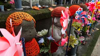 かわいい、と思って不謹慎でした