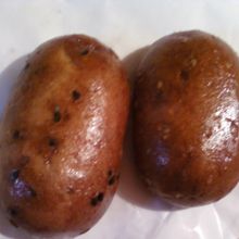 かりんとう饅頭です。