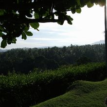 部屋前のベンチに座って見える風景