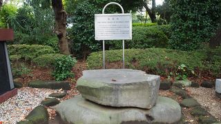 平べったい石ですが・・・・