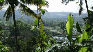 素敵なアバビ村の人々と風景☆グリアスマルンバンガローを拠点に
