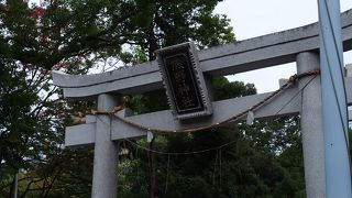なぜかお寺の中にある神社