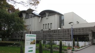 競馬中の気分転換に