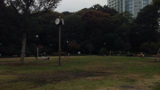 東京タワーの見える公園