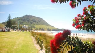 海・山・カフェが揃う、お洒落なリゾート地