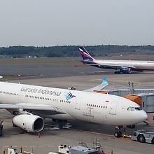 展望デッキから撮影した飛行機です