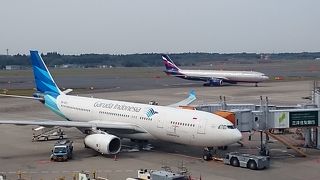 たくさんの飛行機を見ることができます