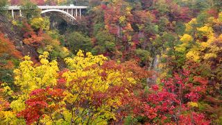 全色揃った見事な紅葉