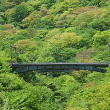 碓氷新線のコンクリート橋