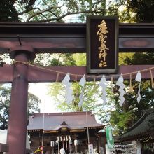 麻賀多神社