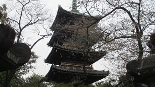 ひっそり佇む姿が優美