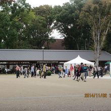 向かいはスタバ