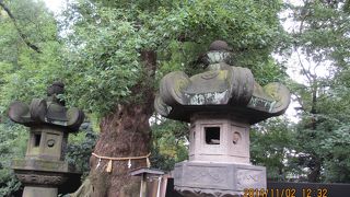 ズラッと圧巻の光景