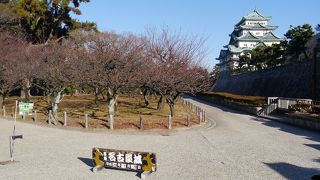 広く、大きく充実の施設
