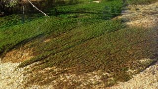 水が澄んでいる