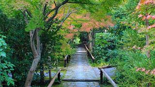 かっこいい！！！