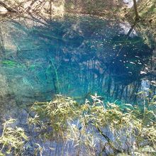 どこから見ても青いんです。