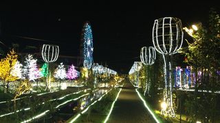イルミネーションがおすすめ！
