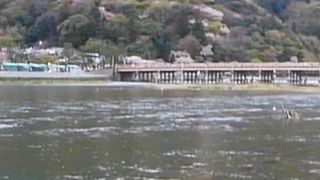 嵐山と言えば、ここです。