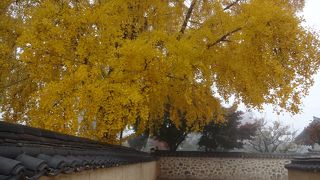 朝夕の村が静かでのんびりできます