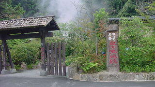 園内が広々としています