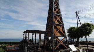 デコボコ歩道が足裏を刺激する