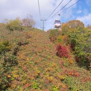 紅葉を眺めながらの爽快な空中散歩