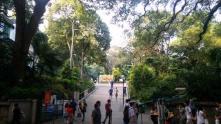 香港市民の憩いの場