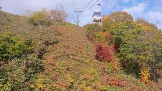 紅葉を眺めながらの爽快な空中散歩