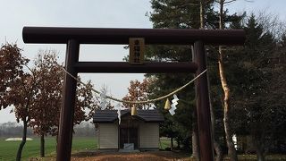 何もない普通の神社です