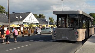 無料で乗車できます