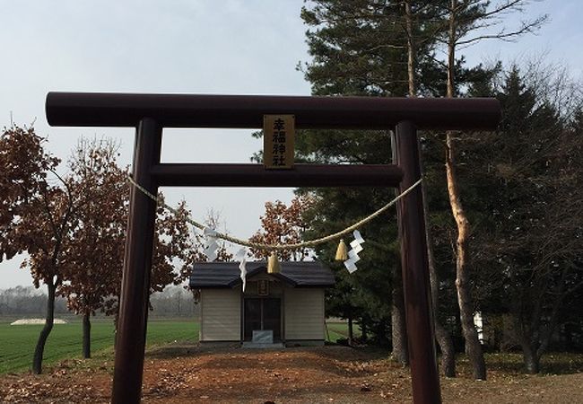 何もない普通の神社です