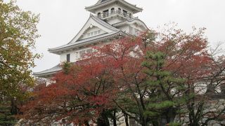 長浜・湖北地方の史料が充実