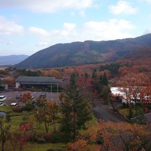 ちょうど見ごろを迎えた紅葉の景色