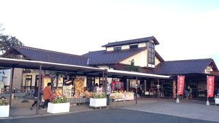 お豆腐が美味しい！